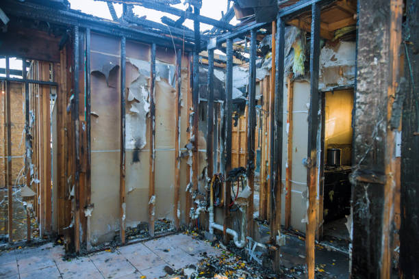 Professional Soot Cleanup technician working in Springfield, MN