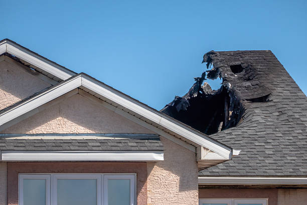 Top rated local Soot Cleanup specialists in Springfield, MN